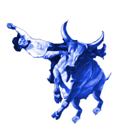 bullrider